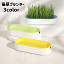 送料無料 猫草プランター 猫草ポット 猫草ボックス 水耕栽培 容器 ケースのみ 鉢 室内 屋内 シンプル おしゃれ ペット用品 ねこ ネコ