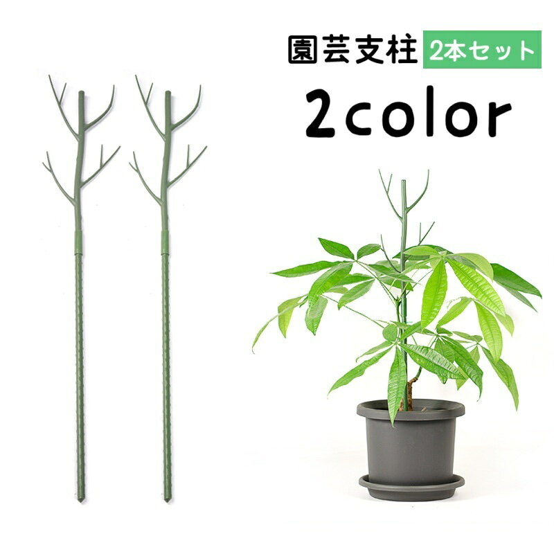 Gardening - 送料無料 園芸支柱 2本セット 70cm 支柱 観葉植物 花ささえ 花支柱 花支え ガーデニング用品 園芸用資材 固定 農業用 家庭菜園 散乱予防 転倒予防 組み立て簡単 差込むだけ ナチュラル 単色 目立ちにくい シンプル 果物 野菜 花 多肉植物 広がり防止 鉢植え