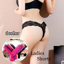 送料無料 Tバックショーツ 単品 レディース パンティ 女性下着 パンツ V字デザイン 総レース リボン シースルー 透け感 セクシー タンガ ランジェリー ロ...