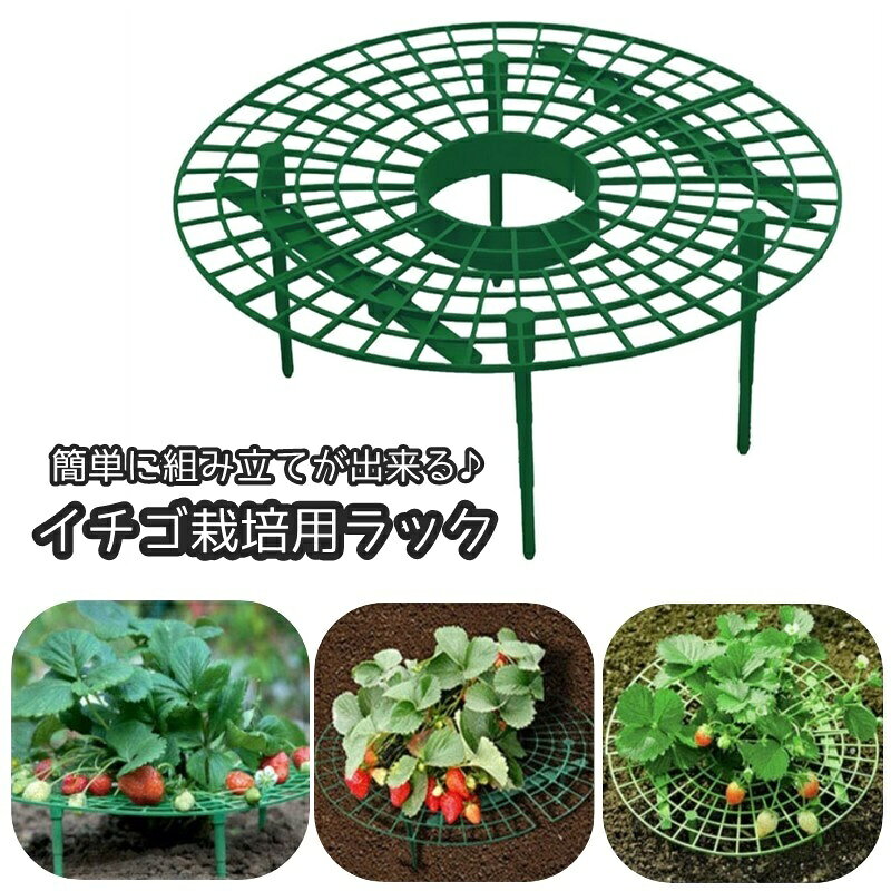 送料無料 イチゴ栽培用ラック いちごスタンド イチゴ支え棚 いちご支柱 ガーデニング 農業 園芸用品 ス..