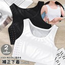 送料無料 補正下着 ナベシャツ 3段フック式 レディース インナー 下着 メッシュ 通気性 ホック式 男装 胸つぶし 胸サポーター 胸コルセット 胸揺れ防止 大...