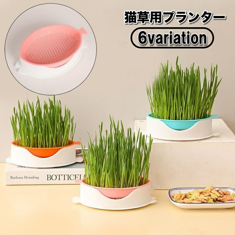 送料無料 猫草用プランター 水耕栽培 ペット用品 猫 犬 屋内用 室内 栽培 猫草 葉っぱ 毛玉 胃腸 スト..