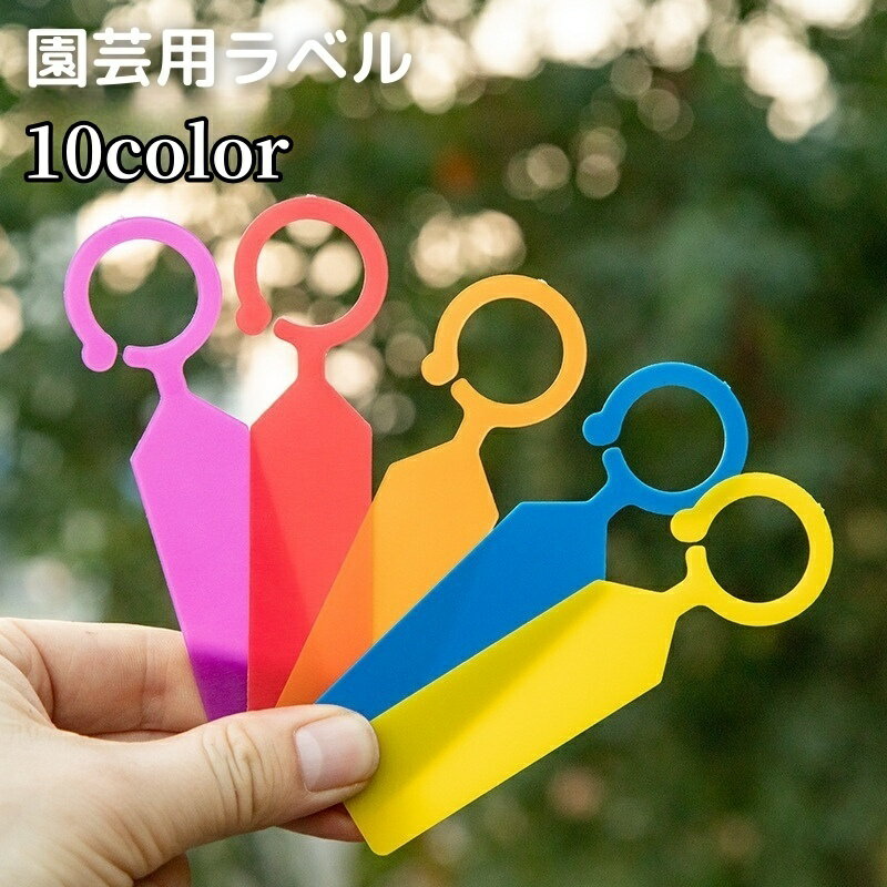 ̵ ѥ٥ Ʊ100祻å ǥ˥  ʪѥ ͡ץ졼 ե ե٥ ͡ॿ ǥ ڱ...