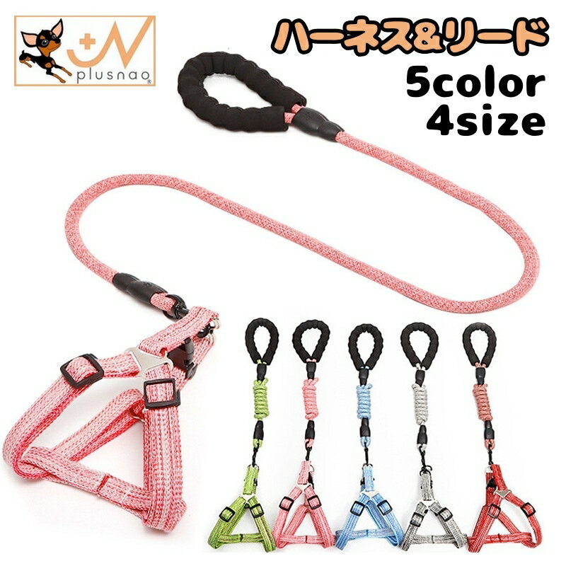 ̵ ϡͥ ꡼ 2å  ǭ ڥå ڥåȥå Ĵǽ æñ  ƹ ץ  襤 奢 ...