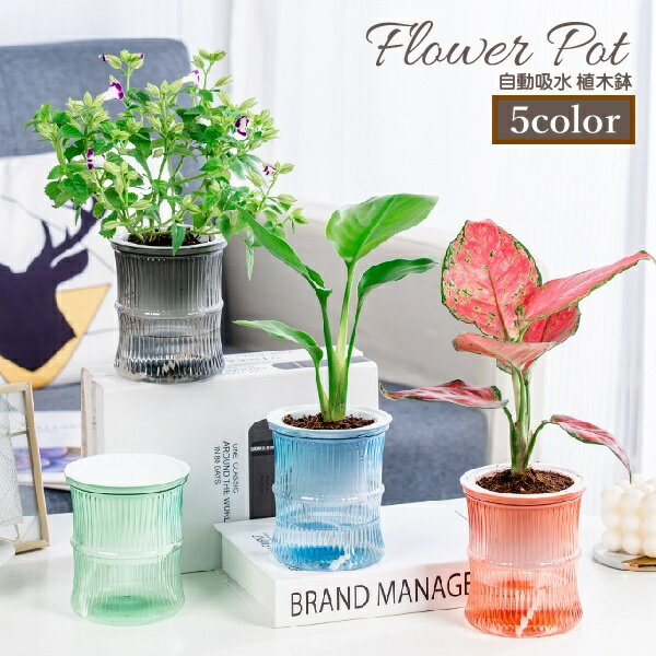 送料無料 植木鉢 フラワーポット 水耕栽培 自動給水 貯水槽付き 水やり簡単 丸型 観葉植物 多肉植物 園芸 ガーデニング 屋内 竹 節 かわいい おしゃれ シンプル