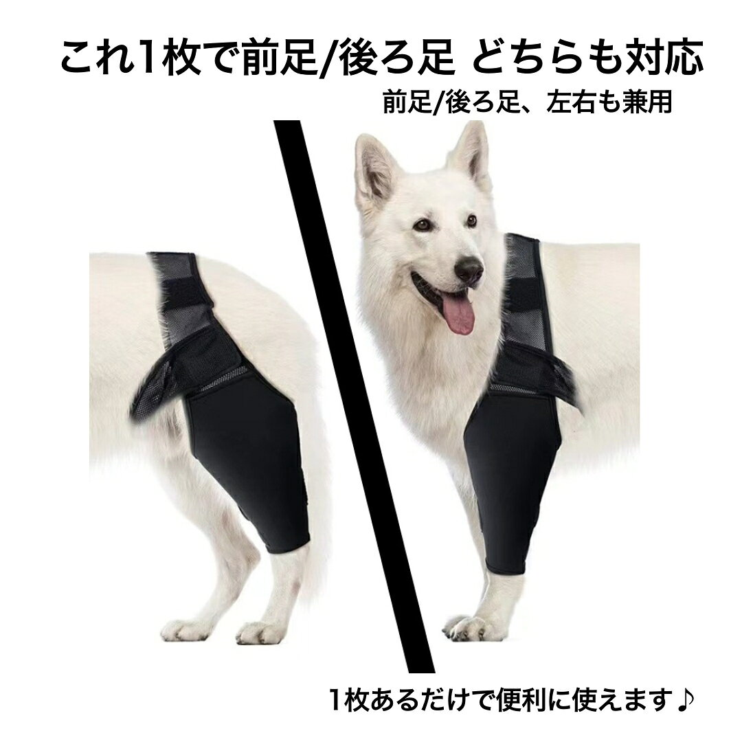 送料無料 犬用サポーター 1枚 単品 関節保護 傷舐め防止 ペット用サポーター サポ...