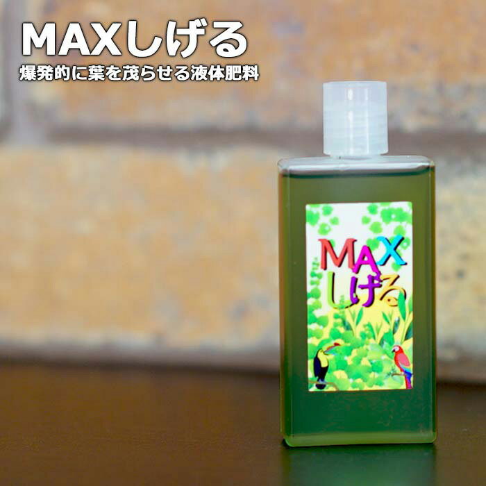 MAXしげる　爆発的に葉を茂らせる液体肥料　観葉植物や多肉植物、エアープランツなどを大きくしたいアナタへ！【500倍で20リットル分になります】【メール便送料無料】