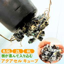 アクアセルキューブ 鉢底石 プロの水やりが敷くだけで完成!根が育つ!植物も喜ぶ!