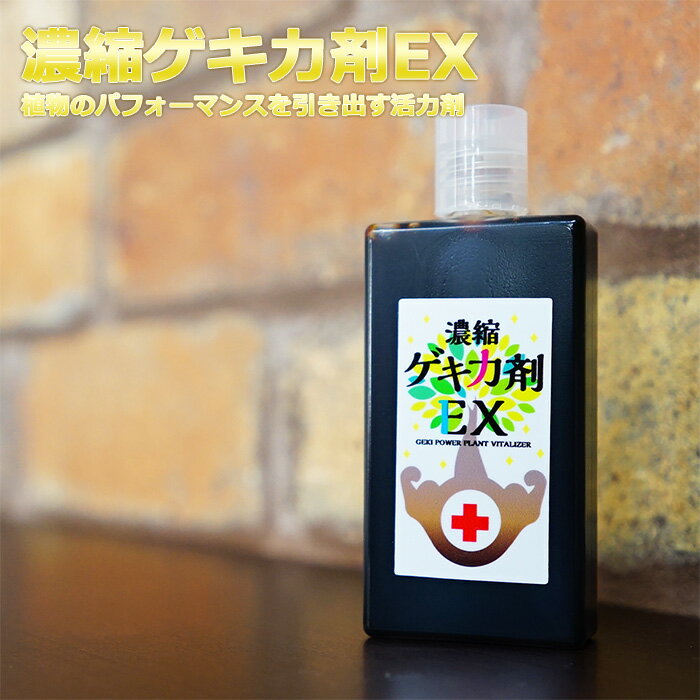 HYPONeX コーヒーノキ の肥料 観葉植物用 鉢の上に置くだけ！ NET約70g 錠剤肥料 観葉植物 コーヒーの木