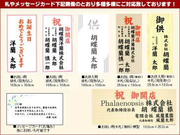 極上大輪胡蝶蘭　キングスタイル　3本立ち　ホワイト　30輪以上保証　ラッピング・メッセージカード無料 開店祝い 花 送料無料 スタンド花 胡蝶蘭 開業祝い 記念品 開院祝い 移転祝い 楽屋見舞い 出演祝い 楽屋花】【立て札可】