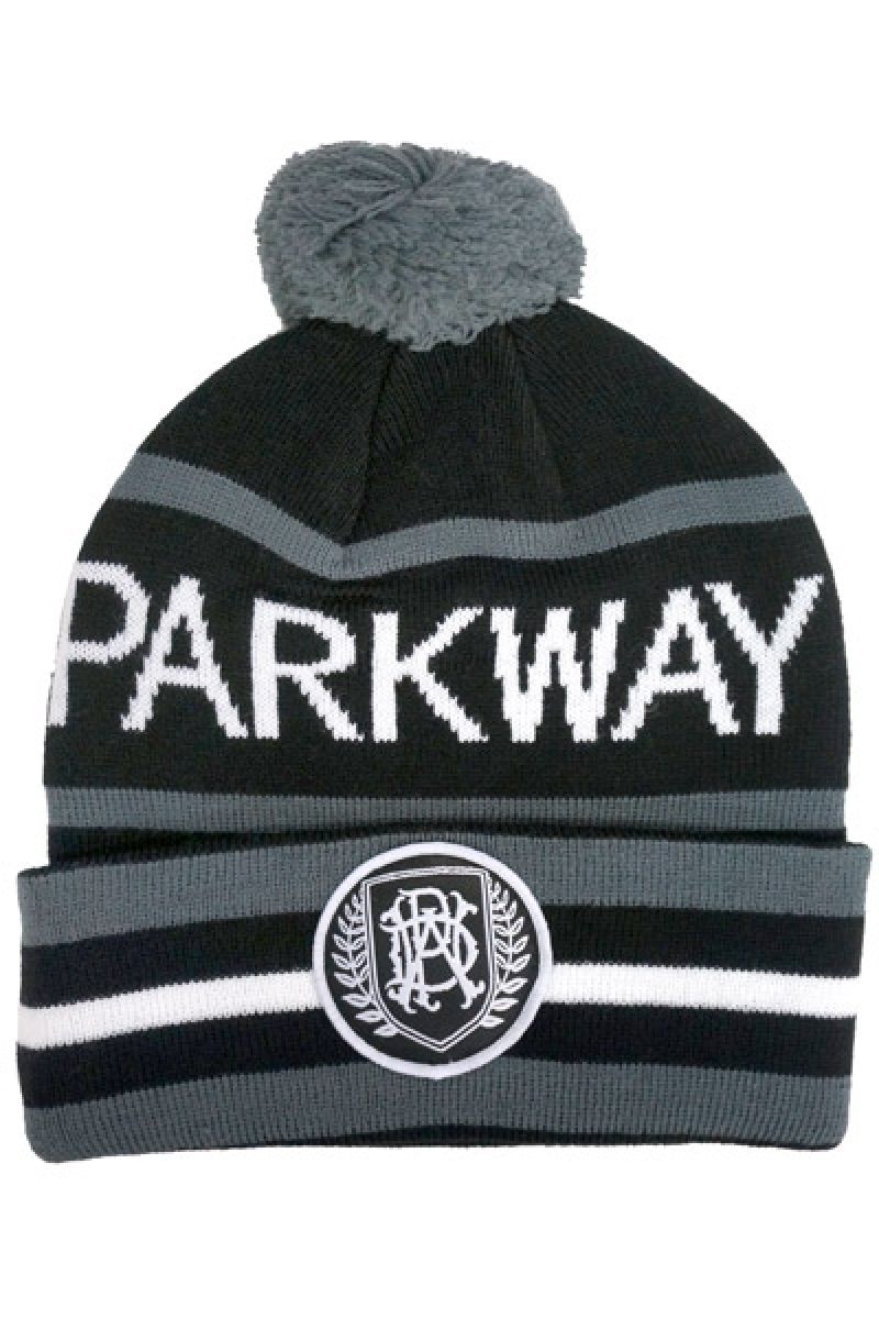 PARKWAY DRIVE PWD Black-Gray Beanie