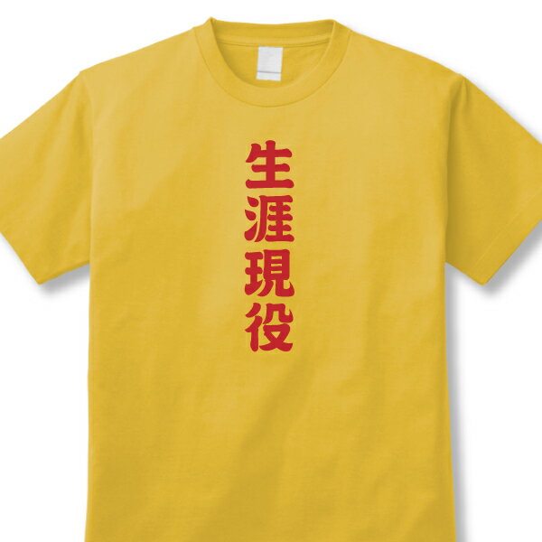 楽天激Tシャツ【傘寿・米寿・卒寿お祝いTシャツ】「生涯現役」DDY