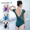 送料無料 バレエレオタード レディース ワンピース スカートなし バレエ衣装 女子 バレエ用品 体操 ダンス 練習服 ステージ衣装 レッスン着 ダンス カジュア...