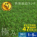 最安値に挑戦！人工芝 芝生 人工 芝生 人工芝 グリーン 高品質 耐候性10年 超高密度47万本 芝丈 35mm 20mm ロール 人工芝 サッカー 人工芝 ガーデン U字ピン 固定ピン付属 防草 防草シート一体型 雑草対策 簡単設置 安全