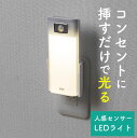 LEDセンサーライト 人感センサー AC電源 屋内用 懐中電灯 充電式 ナイトライト 廊下 常夜灯 防災 非常灯 EZ8-LED018