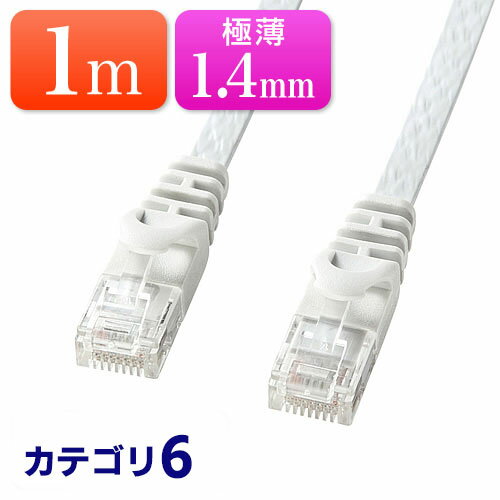 Cat6 フラットLANケーブル 1m カテゴリ