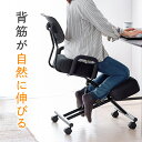 バランスチェア 学習椅子 腰痛 ガス圧 上下昇降 高さ 角度調節 背もたれ グリップ 姿勢 キャスター テレワーク ブラック EEX-CHB01