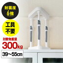 耐震 突っ張り棒 40cm 50cm 転倒防止 家具 棚 本棚 面固定 可動範囲39~55cm 対象重量物300kg 工具不要 EZ2-QL015