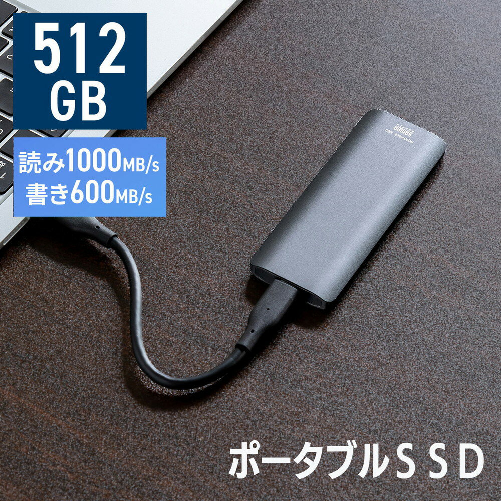 【最大2,500円クーポン発行中】ポータブルSSD 512GB 高速 小型 外付け Type-A/Type-Cケーブル付き USB3.2 Gen2 テレビ録画 PS5/PS4/Xbox Series X EZ6-USSDL512GB