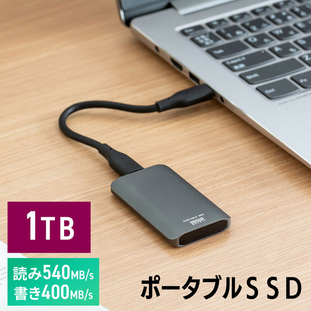 ポータブルSSD 1TB 小型 外付け コンパクト Type-A/Type-Cケーブル付き USB3.2 Gen2 テレビ録画 PS5/PS4/Xbox Series X EZ6-USSDS1TB