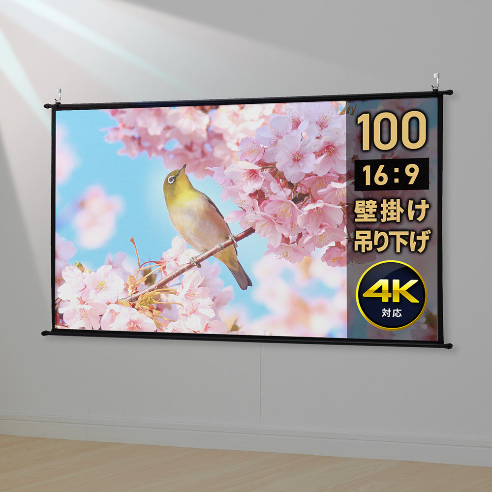 プロジェクタースクリーン 100イン