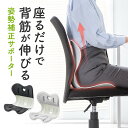 姿勢補正 クッション 椅子 サポート 腰痛対策 後付け 腰サポート S...(3)
