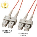 【楽天1位受賞】メガネ型光ファイバケーブル マルチ50μm、SC×2-SC×2、3m HKB-SCSC5-03N サンワサプライ【ネコポス対応】