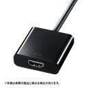 DisplayPort HDMIϊA_v^ AD-DPPHD01 TTvC