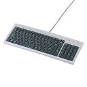 キーボード 有線 USB スリム テンキー パンタグラフキー SKB-SL02U サンワサプライ