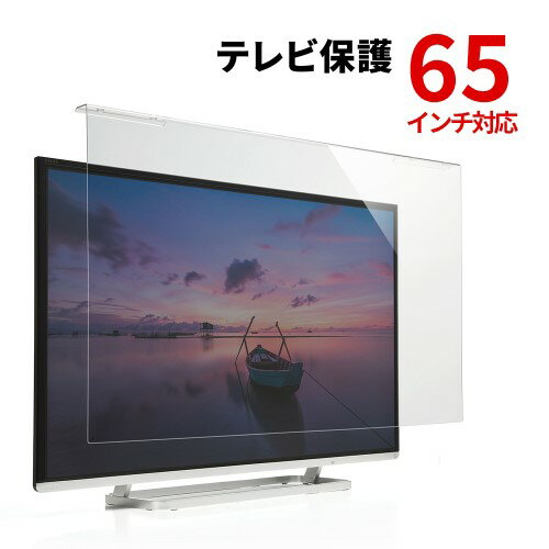 テレビ保護パネル 65インチ アクリルパネル テレビフィルター 吊り下げ式 キズ汚れ防止 CRT-650WHG サンワサプライ