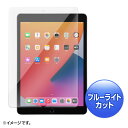 液晶保護フィルム 第9/8/7世代iPad10.2インチ用 ブルーライトカット 強化ガラス きず ほこり LCD-IPAD102GBC サンワサプライ