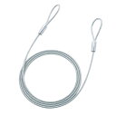 eセキュリティ ワイヤー、長さ2.0m 直径4.6mm SLE-8W-2N サンワサプライ【ネコポス対応】