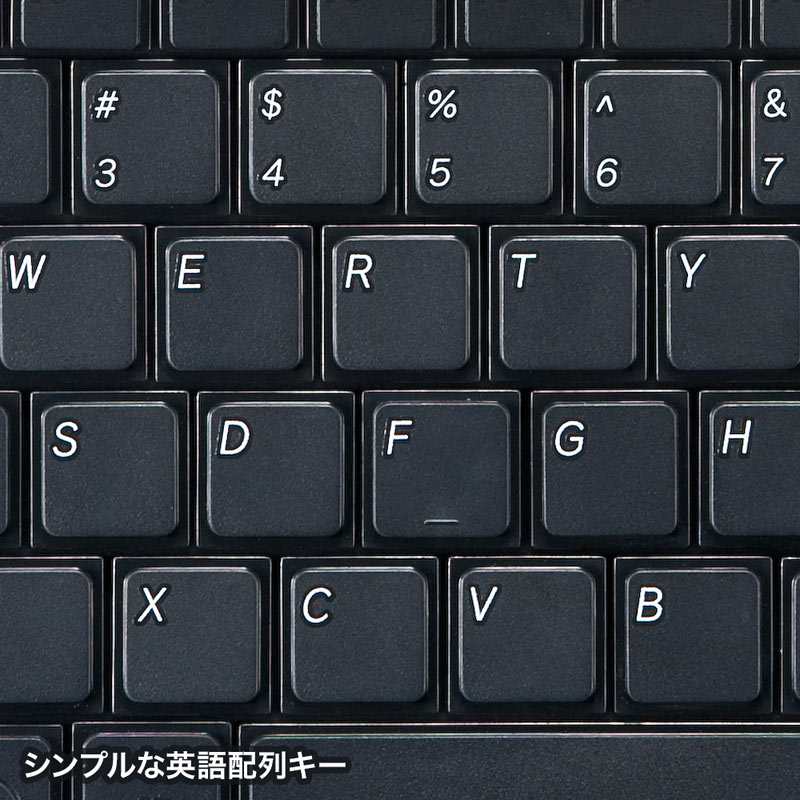 【最大2,000円オフクーポン発行中】キーボード 有線 英語配列 USB スリム コンパクト ブラック SKB-E3UN サンワサプライ - Image 2