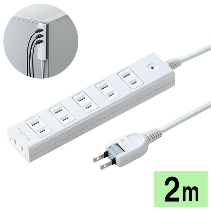 ں2000ߥեݥȯŸå Ĺ 륬ɥå 2P 6ĸ 2m TAP-SP2116MG-2WN 掠ץ饤