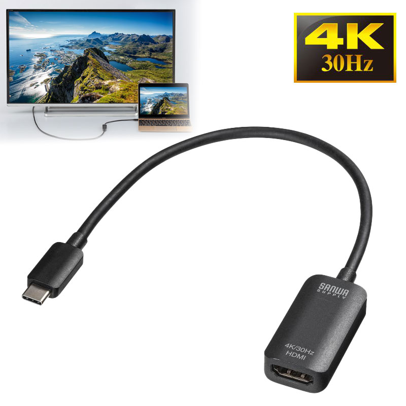 【最大1,000円オフクーポン発行中】USB Type C-HDMI変換アダプタ 4K/30Hz対応 AD-ALCHD02 サンワサプライ