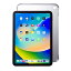 iPad10.9 ꥢϡɥ Apple 10iPad 10.9б ϡɥС ꥢ PDA-IPAD1902CL 掠ץ饤
