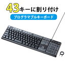 キーボード 有線 プログラマブル 43キー 割付 メンブレン ブラック SKB-P1BK サンワサプライ