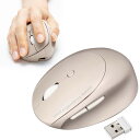 ワイヤレスマウス Bluetooth&2.4GHz 小型 エルゴノミクス 静音 5ボタン 戻る/進むボタン搭載 DPI切替 マルチペアリング ブルーLED FR...