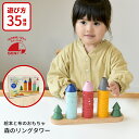 知育玩具 木のおもちゃ 森のリングタワー 棒通し 棒さし エドインター 教育玩具 数の学習 ブロック遊び 出産祝い 積み木 子供 赤ちゃん 誕生日 プレゼント ...