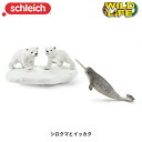 シロクマとイッカク 42531 動物フィギュア ジオラマ ワイルドライフ シュライヒ Schleich