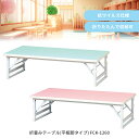 折畳みテーブル(平板脚タイプ) FCK-1260 キッズテーブル 幅120cm 業務用 保育園テーブル 幼稚園テーブル 折りたたみ机 業務用座卓 業務用机 幼児...