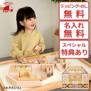 【選べるおまけ付き】つみきのいえLサイズ エドインター 知育玩具 教育玩具 積み木 ブロック遊び ベビー用積み木 木製玩具 NIHONシリーズ 国産 日本製 ラ...