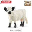 ギャロウェイ牛 (メス) 13960 動物 牛 フィギュア ファームワールド ジオラマ シュライヒ Schleich