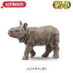 インドサイ (仔) 14860 動物 フィギュア ワイルドライフ ジオラマ シュライヒ Schleich