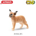 カラカル (仔) 14868 動物 フィギュア ワイルドライフ ジオラマ シュライヒ Schleich