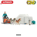南極探検 42558 動物 アニマル フィギュア ワイルドライフ ジオラマ シュライヒ Schleich