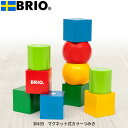 ブリオ BRIO マグネット式カラーつみき 30435 積み木 積木 ブロック遊び 知育玩具 おすすめ ブロック 磁石 1歳 おしゃれ おすすめ かわいい