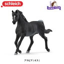 アラビア (オス) 13981 動物 馬 フィギュア ホースクラブ シュライヒ Schleich