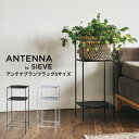 アンテナプランツラックSサイズ SVE-PR001S ディスプレイラック プランツラック サイドテーブル おしゃれ おすすめ かわいい アンテナシリーズ