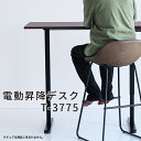 電動昇降デスク T-3775 デスク 電動 昇降式 高さ調整 天板120cm パソコンデスク 作業机 オフィスデスク ゲーミングデスク 昇降テーブル バーカウン...